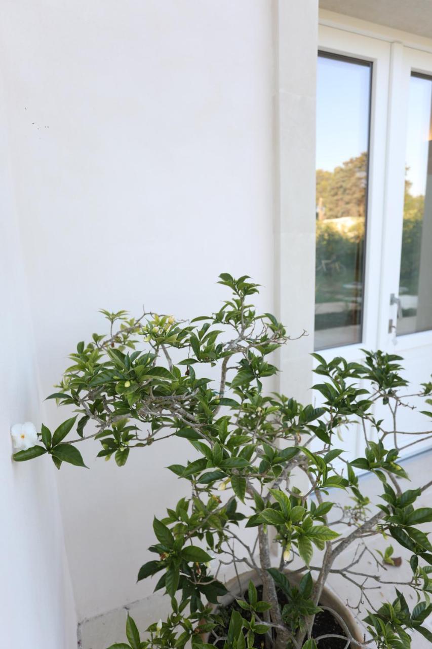Podere 43 Charme B&B Otranto Kültér fotó